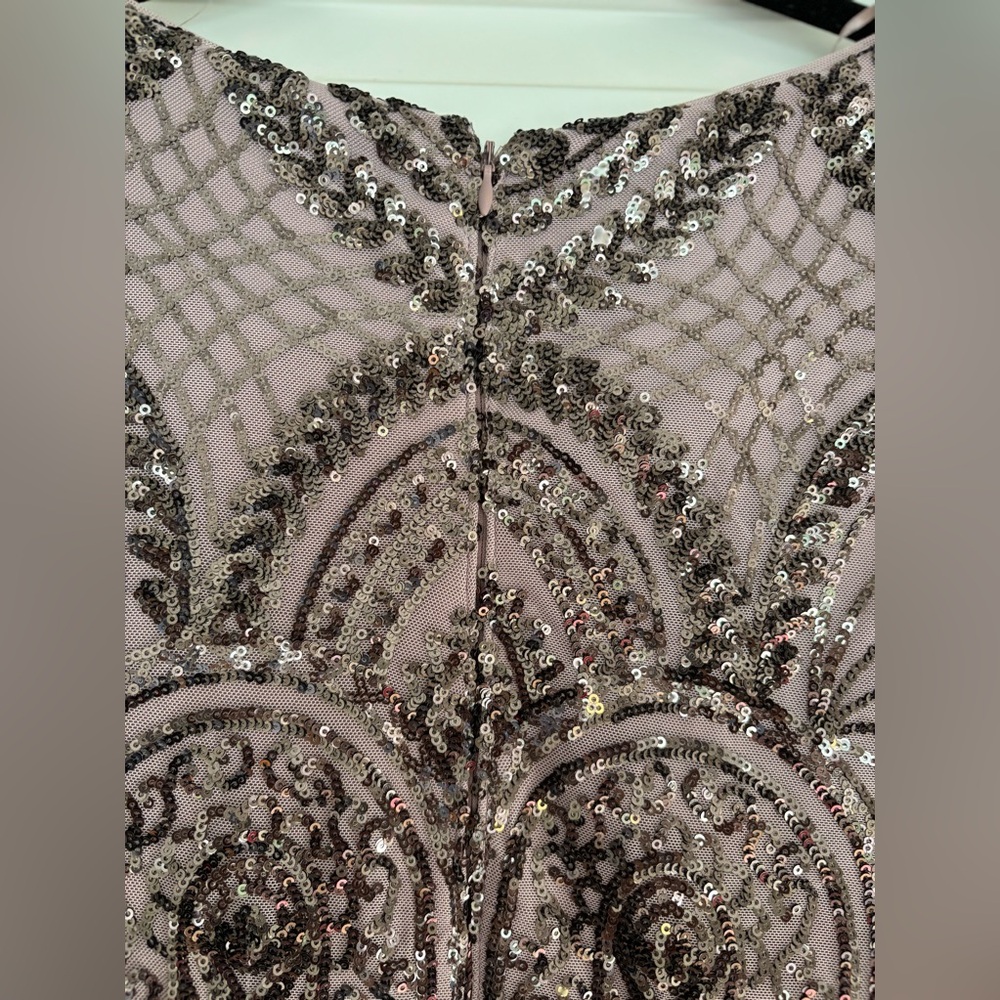 Mauve Mid-Length Beaded Dress 10P EUC Worn Once - Picture 3 of 6